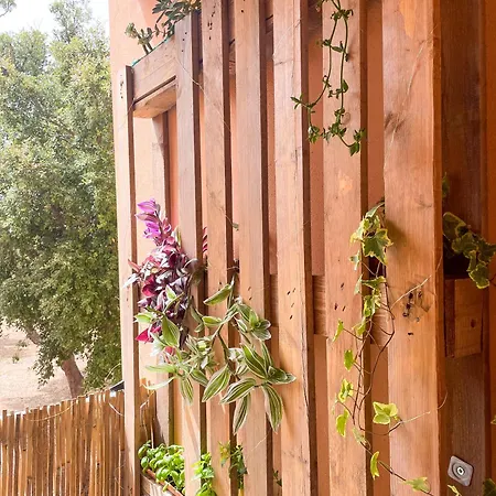 T2 Saint Cyprien Proche De La Lecci