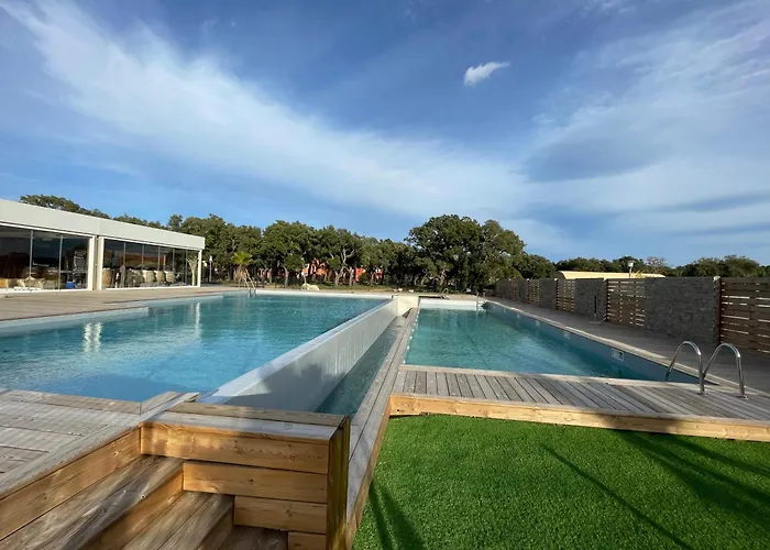 T2 Saint Cyprien Proche De La *